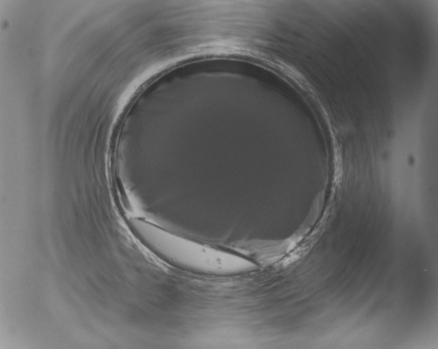 X0000051861334200507081813