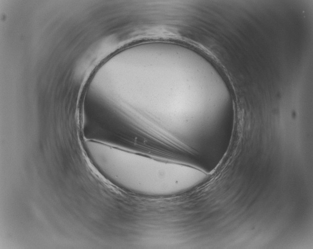 X0000051861335200507081813