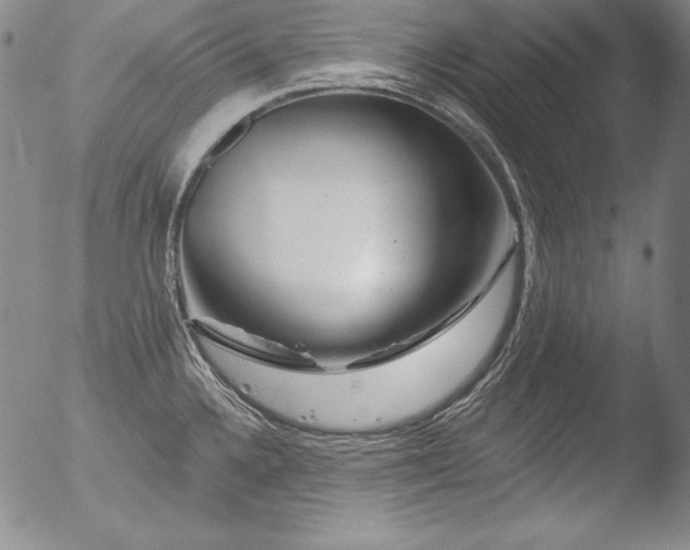 X0000051861336200507081813