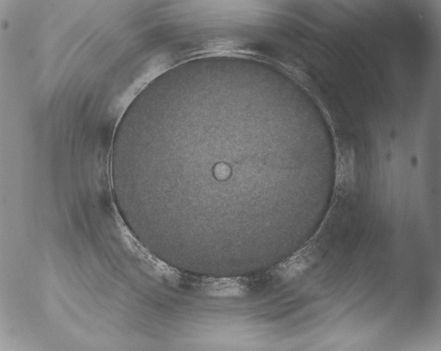 X0000051861338200507081813