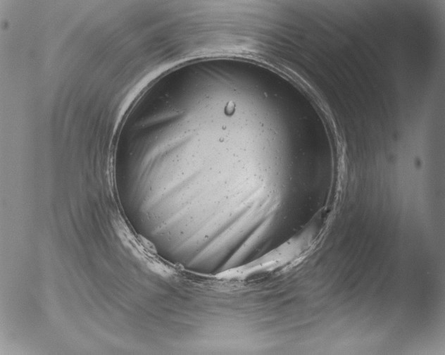 X0000051861340200507081813