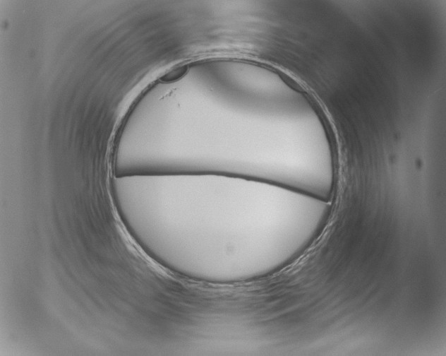 X0000051861341200507081813