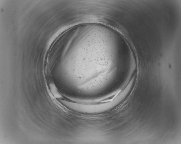 X0000051861342200507081813