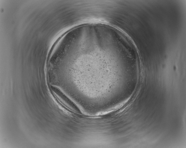 X0000051861343200507081813