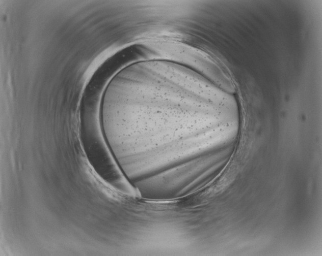 X0000051861344200507081813