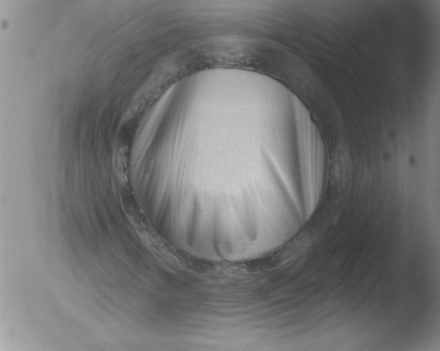 X0000051861346200507081812