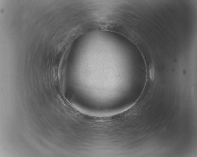 X0000051861347200507081812