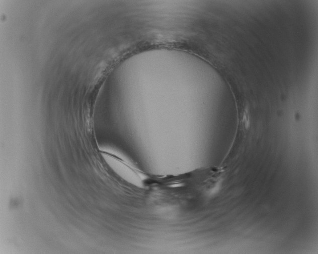 X0000051861348200507081812