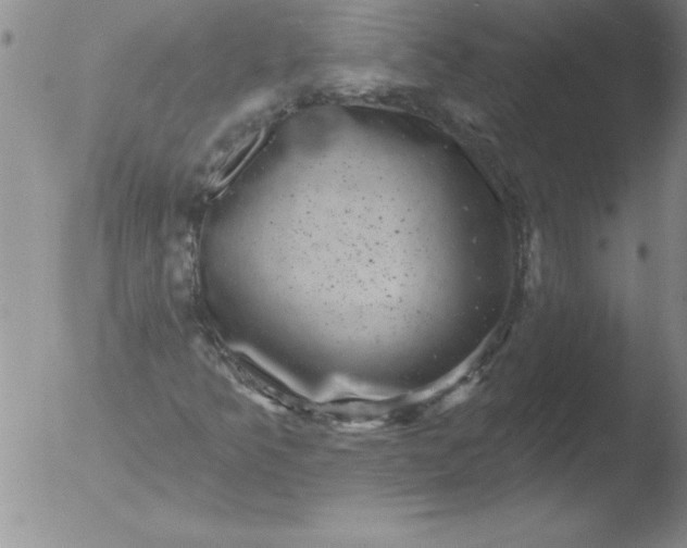 X0000051861349200507081812