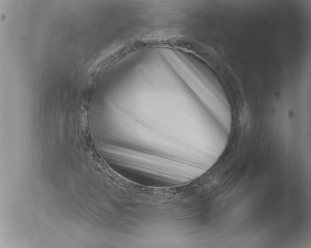 X0000051861350200507081812