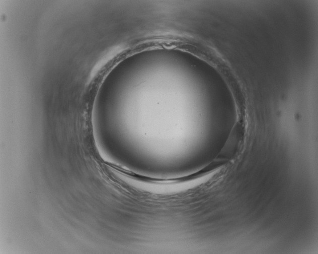 X0000051861352200507081812