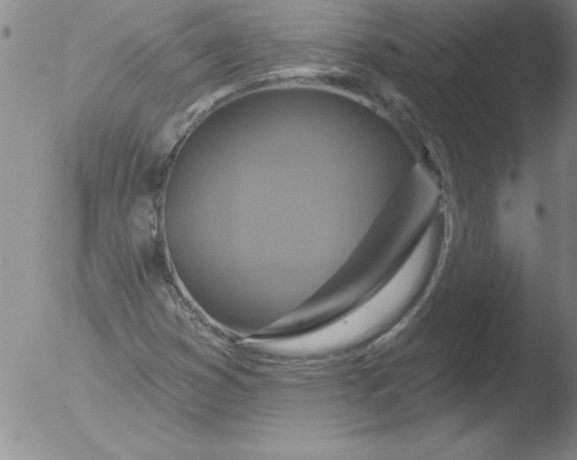 X0000051861353200507081812