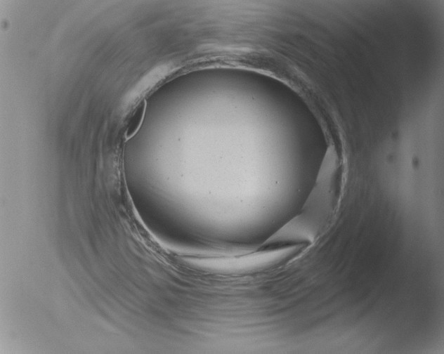 X0000051861354200507081812