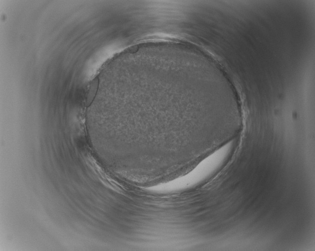 X0000051861355200507081812