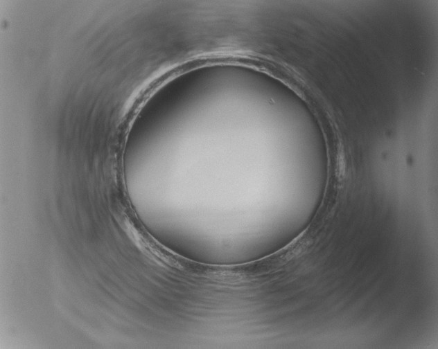 X0000051861356200507081812