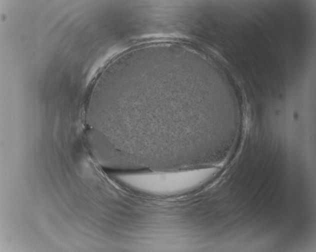 X0000051861357200507081812