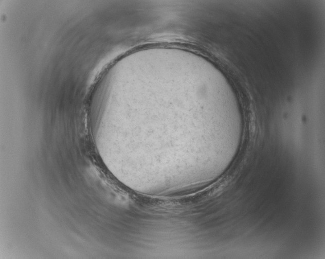 X0000051861358200507081812