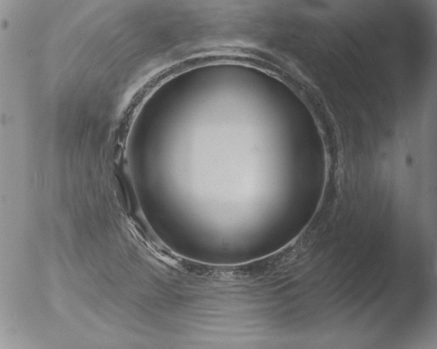 X0000051861360200507081812