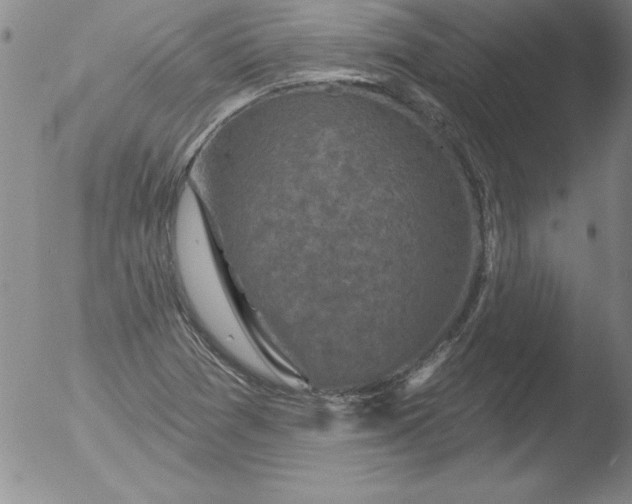 X0000051861361200507081812