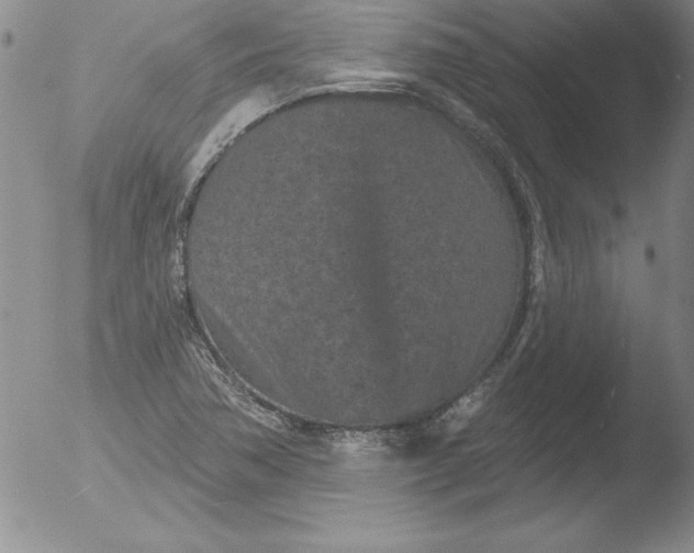 X0000051861362200507081812