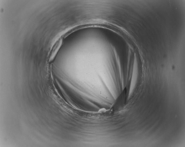 X0000051861364200507081812