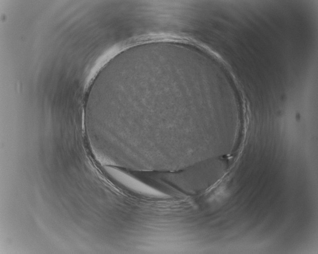 X0000051861365200507081812