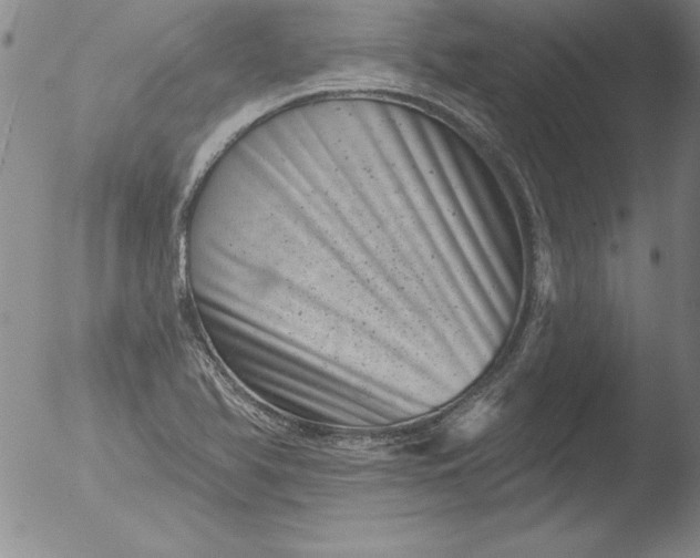 X0000051861366200507081812