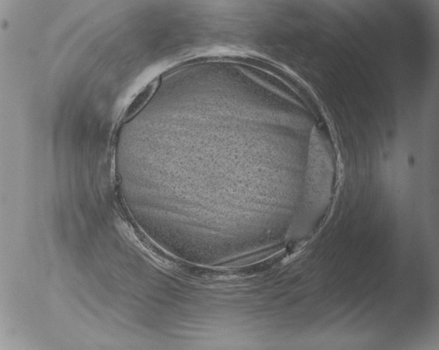 X0000051861367200507081812