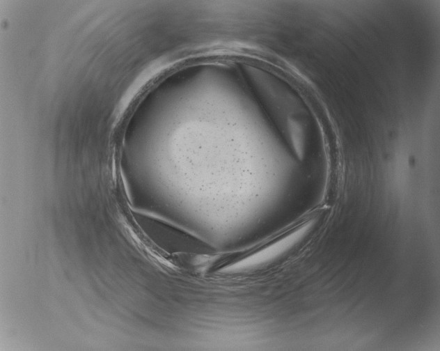 X0000051861368200507081812