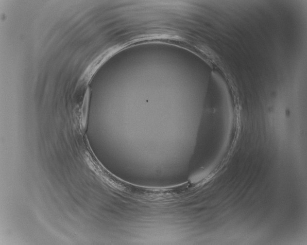 X0000051861369200507081812