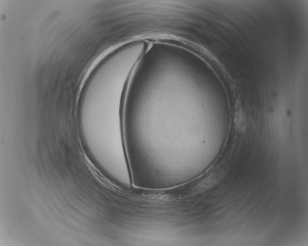 X0000051861372200507081812