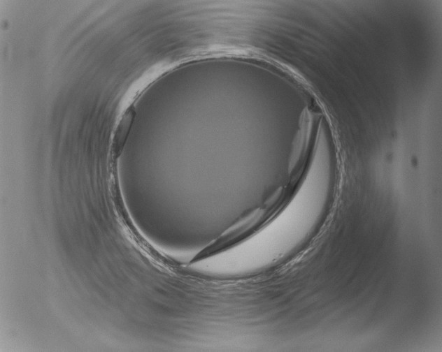 X0000051861373200507081812