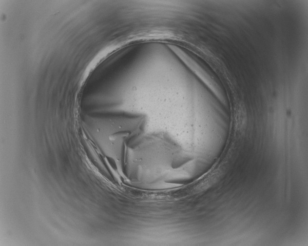 X0000051861374200507081812