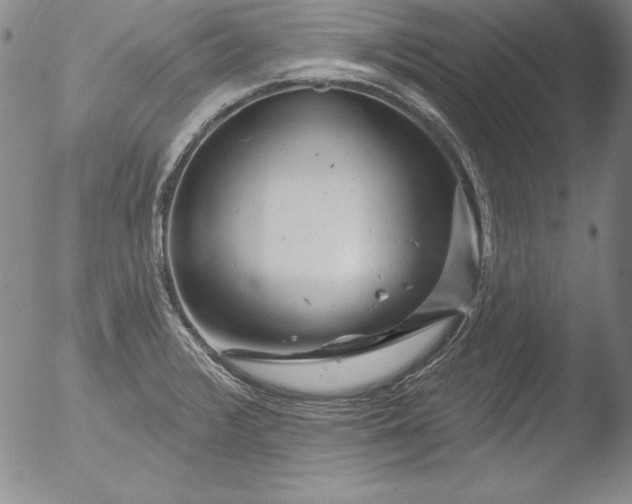 X0000051861376200507081812