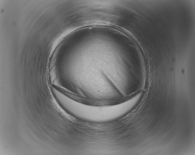 X0000051861379200507081811