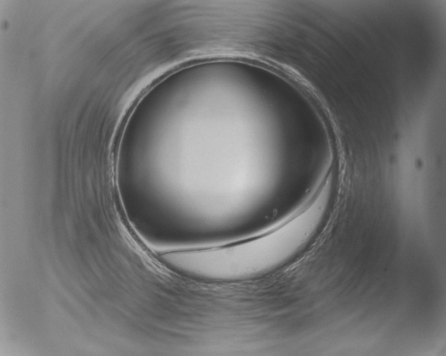 X0000051861380200507081811