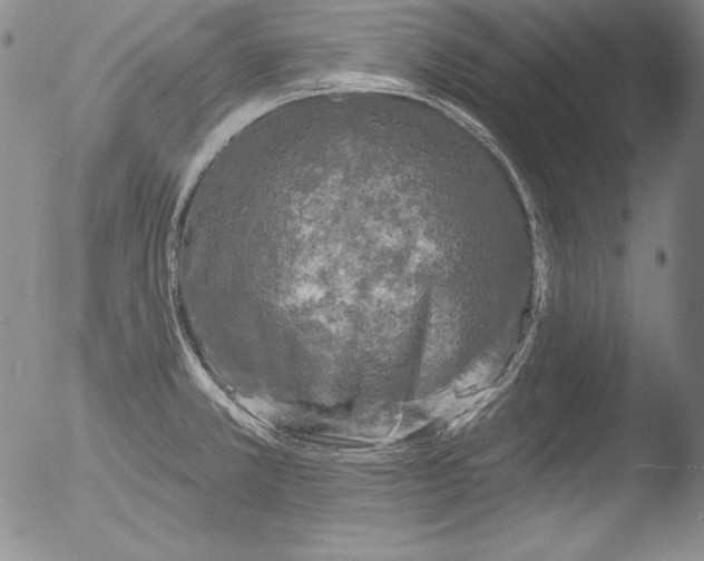 X0000051861381200507081811