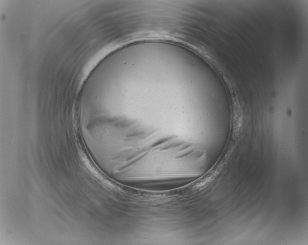 X0000051861382200507081811