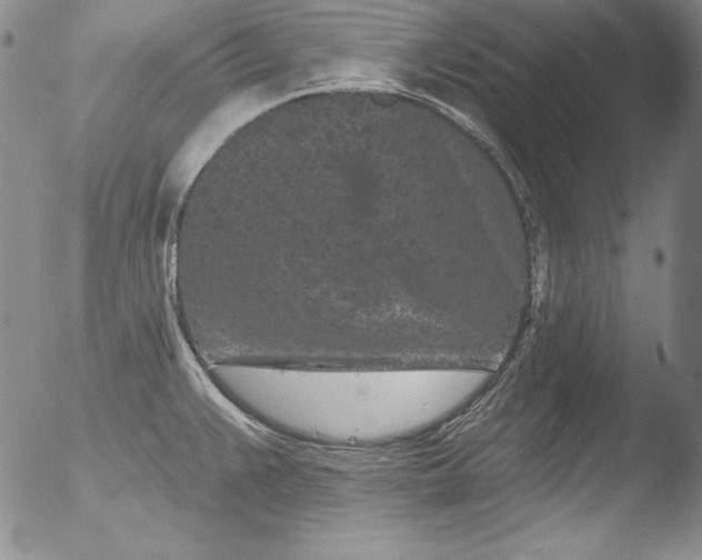 X0000051861383200507081811