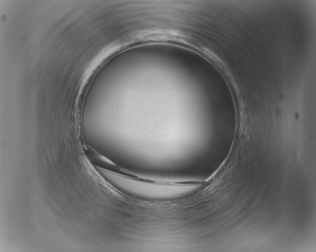 X0000051861384200507081811