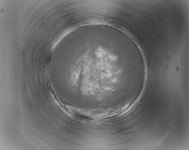 X0000051861385200507081811