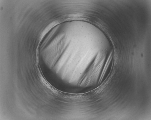 X0000051861386200507081811