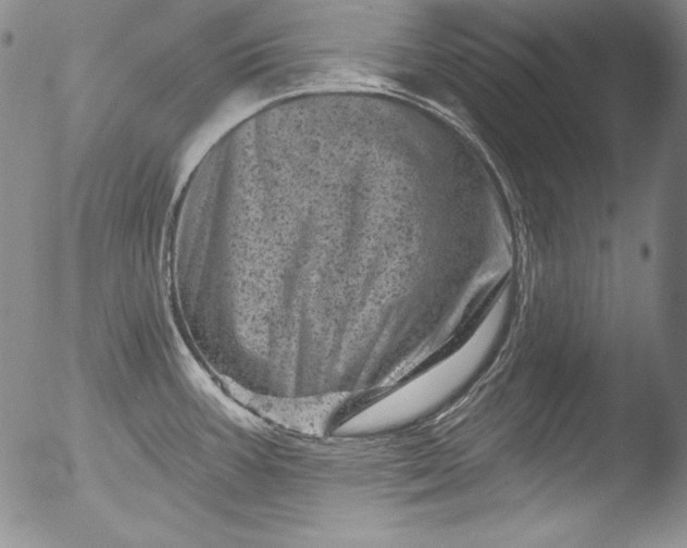 X0000051861387200507081811