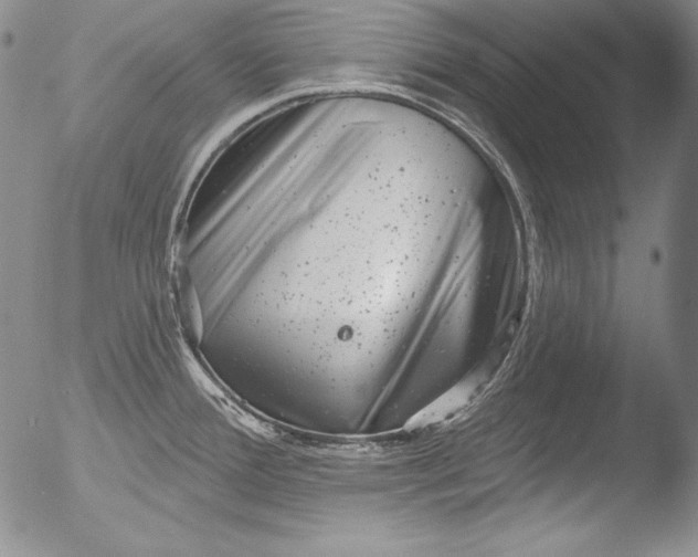 X0000051861388200507081811