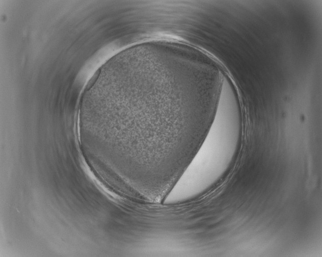 X0000051861391200507081811