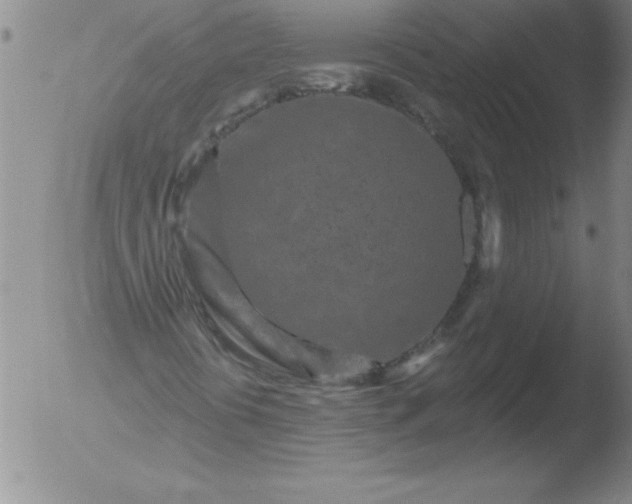 X0000051861394200507081810