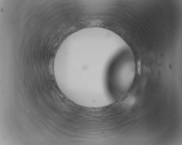 X0000051861395200507081810