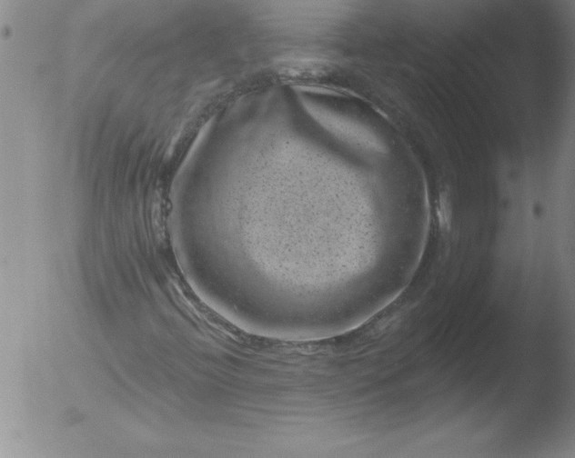 X0000051861396200507081810