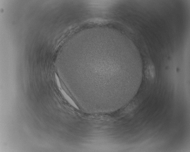 X0000051861397200507081811