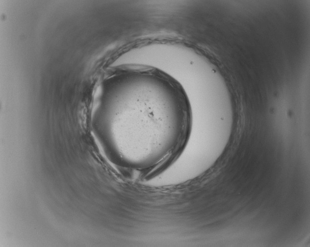 X0000051861398200507081811